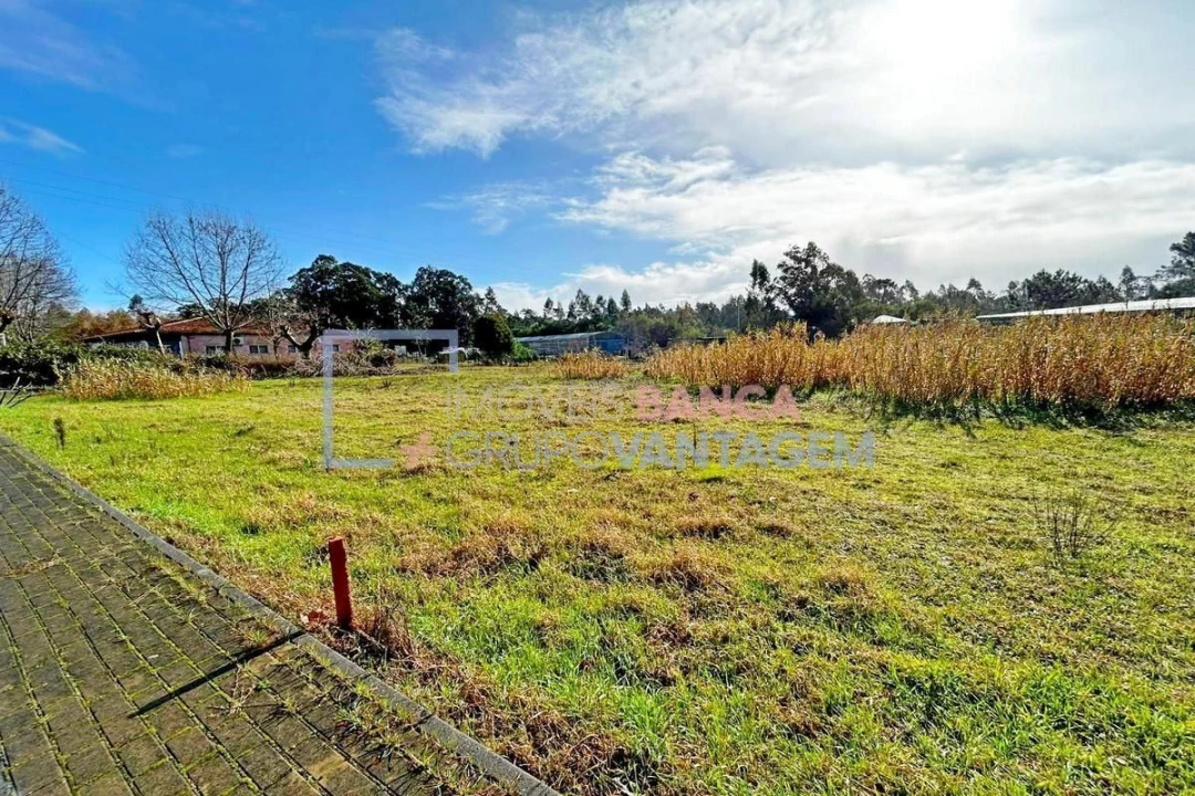 Terreno para Venda em Fonte de Angeão e Covão do Lobo Foto 1