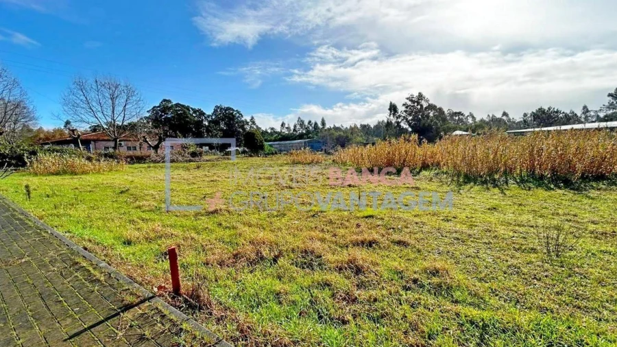 Terreno para Venda em Fonte de Angeão e Covão do Lobo