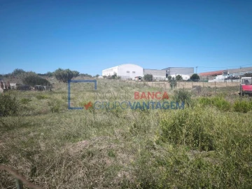 Terreno Agricola ou Rústico para Venda em Almargem do Bispo, Pêro Pinheiro e Montelavar