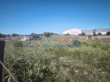 Terreno Agricola ou Rústico para Venda em Almargem do Bispo, Pêro Pinheiro e Montelavar