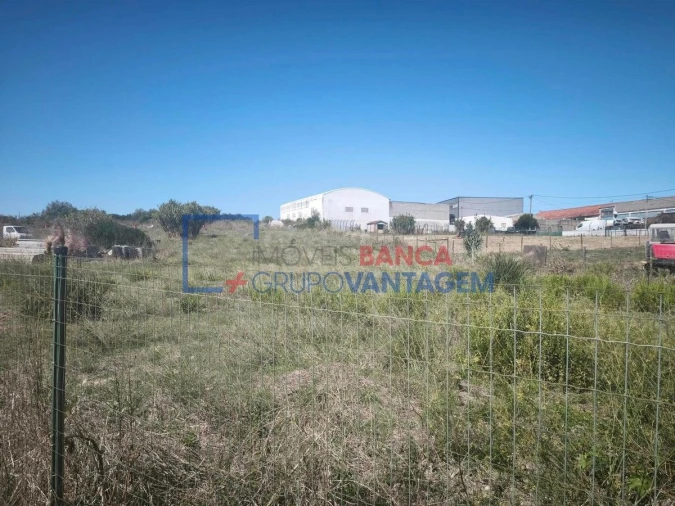 Terreno Agricola ou Rústico para Venda em Almargem do Bispo, Pêro Pinheiro e Montelavar Foto 4