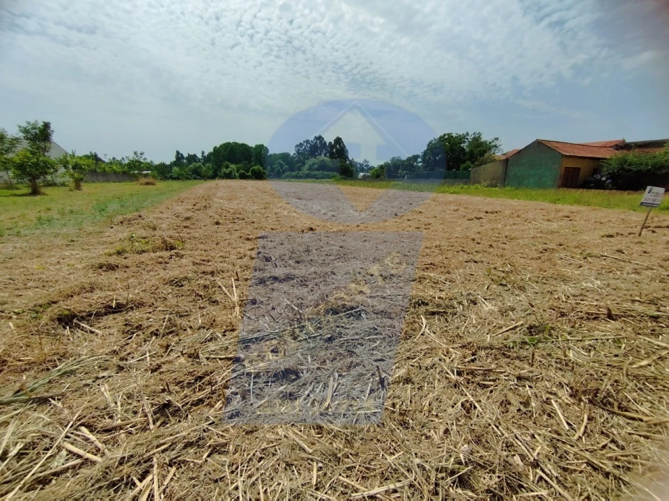 Terreno para Venda em Covões e Camarneira Foto 1