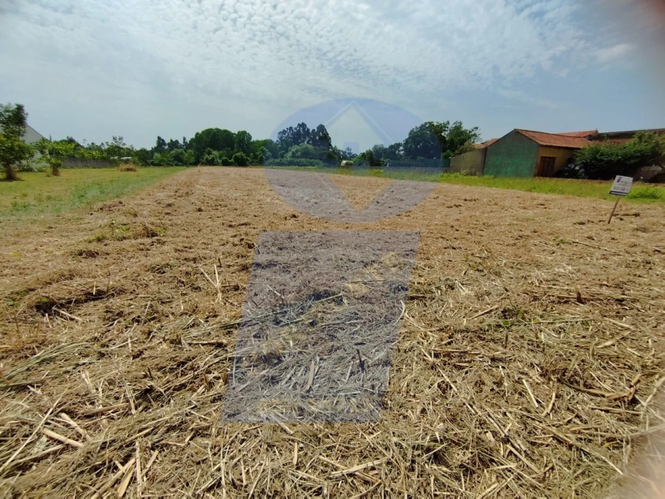 Terreno para Venda em Covões e Camarneira Foto 5
