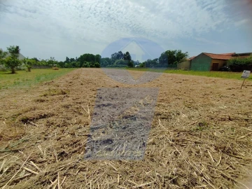 Terreno para Venda em Covões e Camarneira
