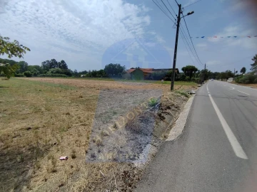 Terreno para Venda em Covões e Camarneira