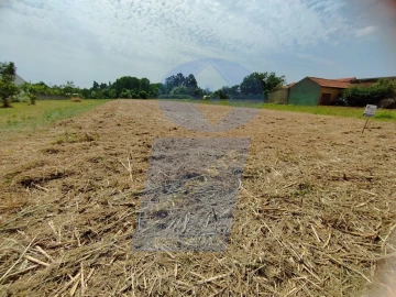 Terreno para Venda em Covões e Camarneira