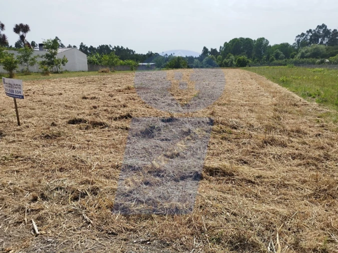 Terreno para Venda em Covões e Camarneira Foto 6