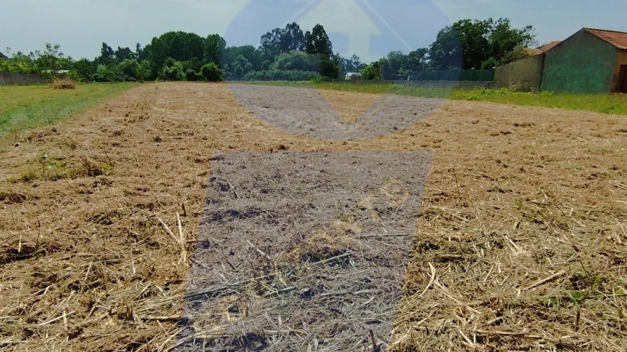 Terreno para Venda em Covões e Camarneira