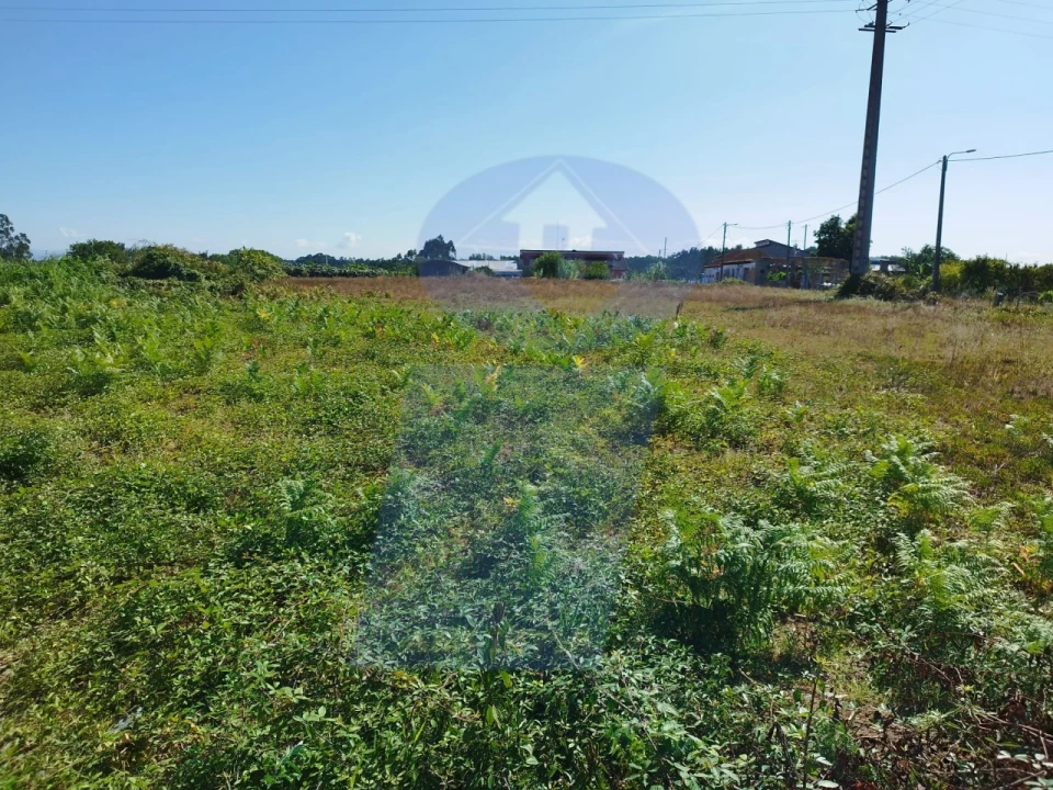 Terreno para Venda em Bustos, Troviscal e Mamarrosa Foto 1