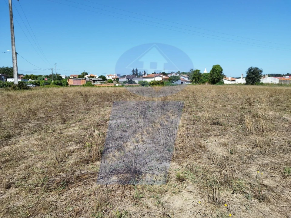 Terreno para Venda em Bustos, Troviscal e Mamarrosa Foto 3