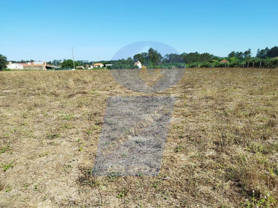 Terreno para Venda em Bustos, Troviscal e Mamarrosa Foto 4