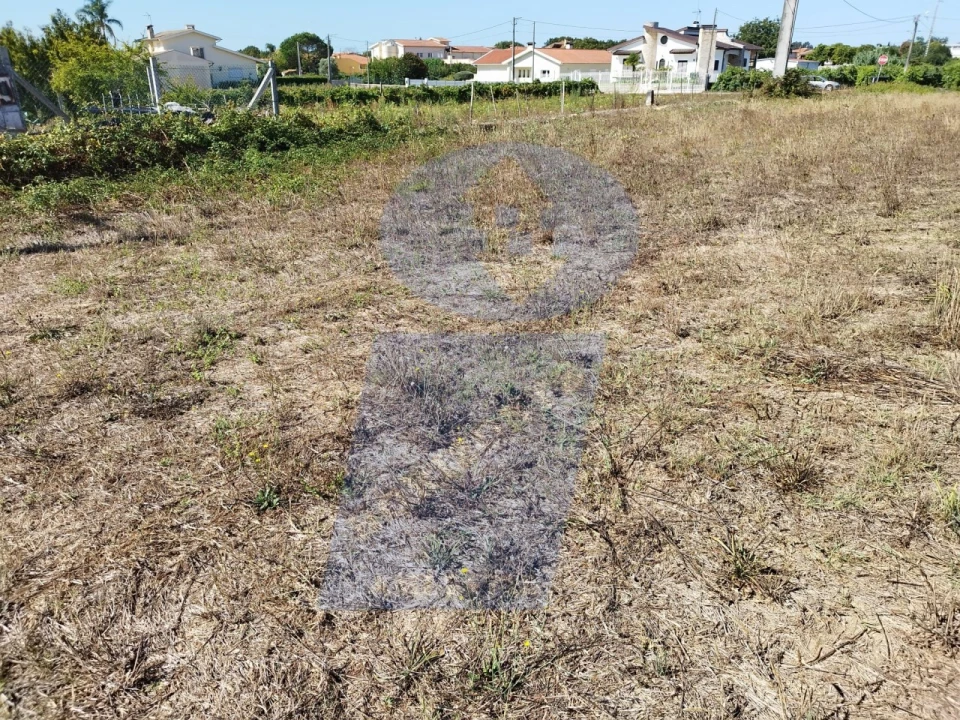 Terreno para Venda em Bustos, Troviscal e Mamarrosa Foto 5