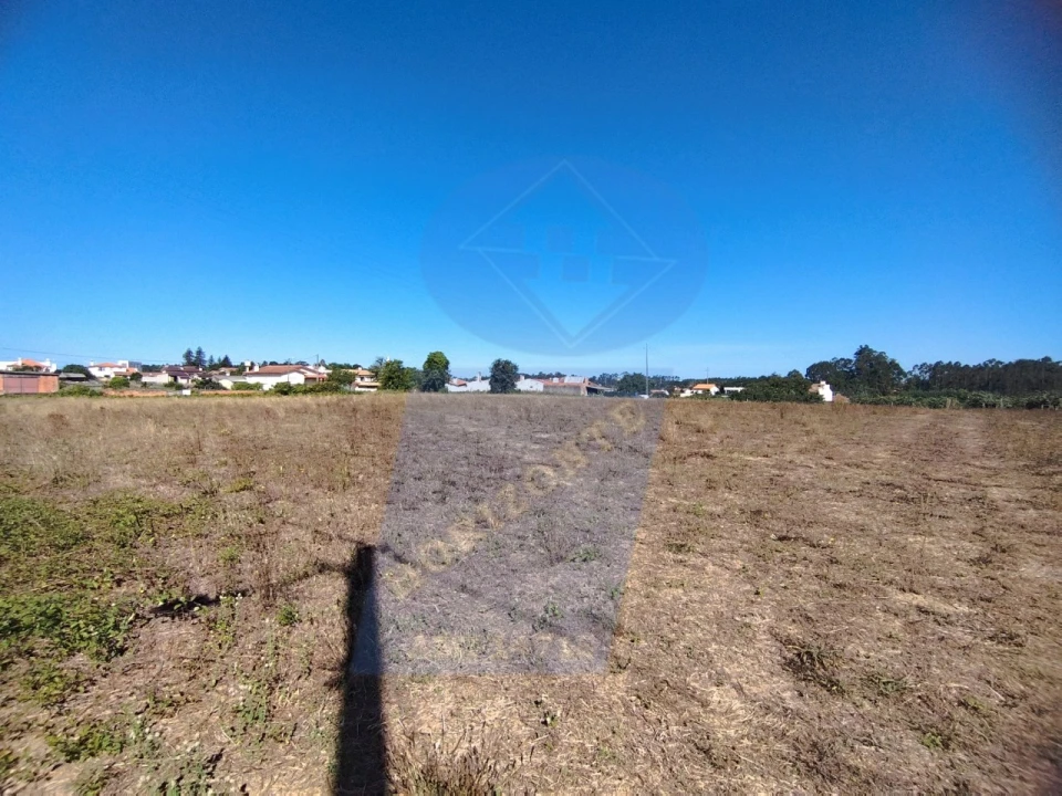 Terreno para Venda em Bustos, Troviscal e Mamarrosa Foto 9