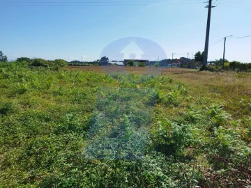 Terreno para Venda em Bustos, Troviscal e Mamarrosa