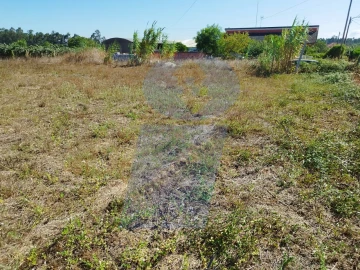 Terreno para Venda em Bustos, Troviscal e Mamarrosa