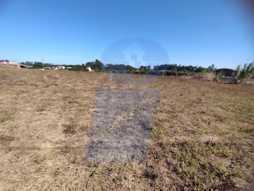 Terreno para Venda em Bustos, Troviscal e Mamarrosa