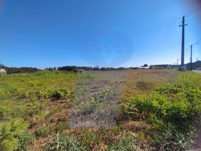 Terreno para Venda em Bustos, Troviscal e Mamarrosa Foto 2