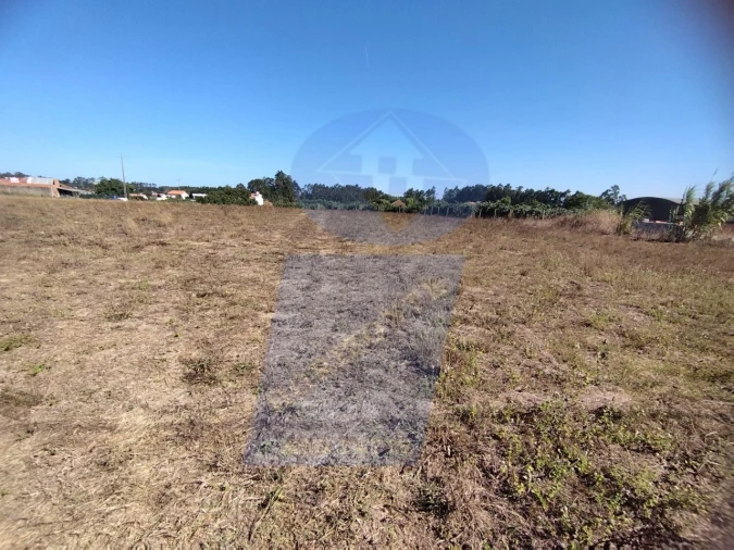 Terreno para Venda em Bustos, Troviscal e Mamarrosa Foto 7