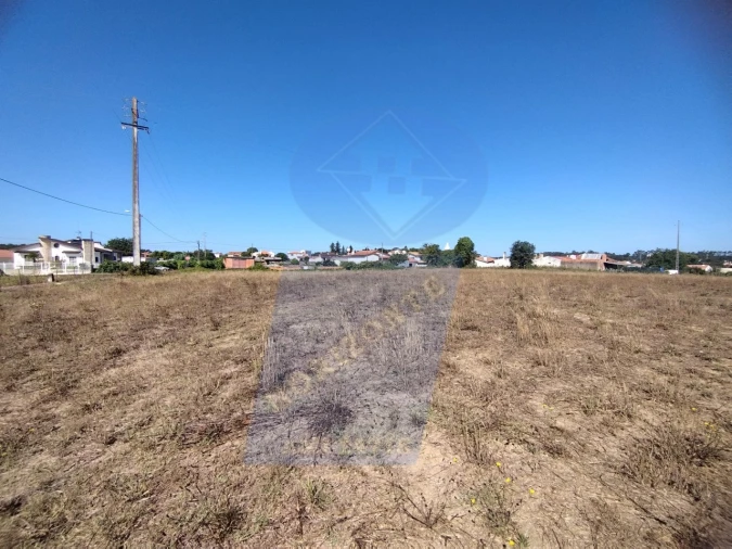 Terreno para Venda em Bustos, Troviscal e Mamarrosa Foto 8