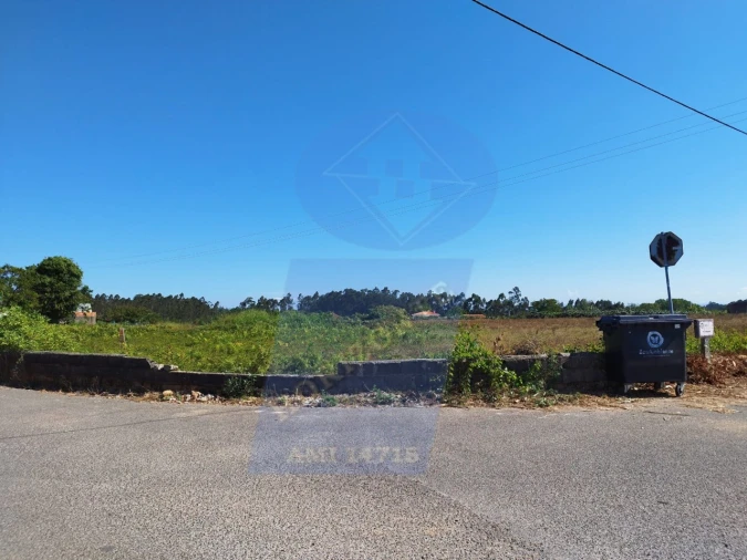 Terreno para Venda em Bustos, Troviscal e Mamarrosa Foto 10