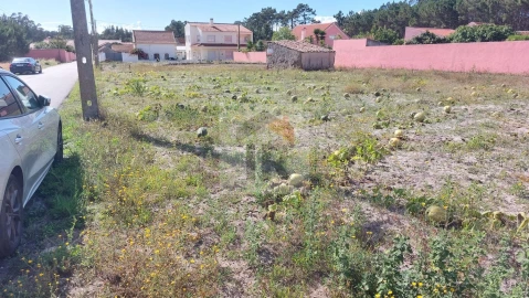 Terreno para Venda em Tornada e Salir do Porto