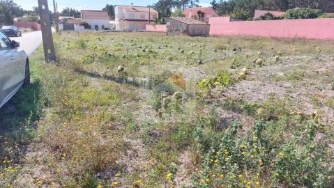 Terreno para Venda em Tornada e Salir do Porto