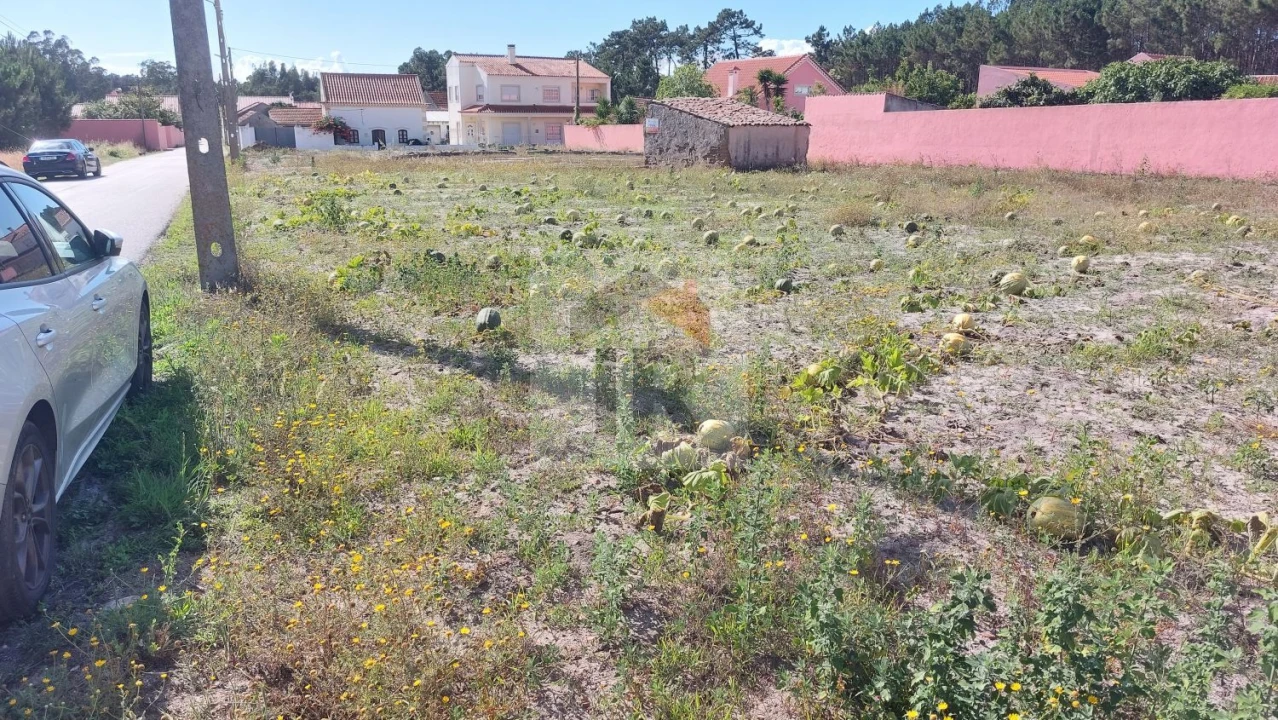 Terreno para Venda em Tornada e Salir do Porto Foto 7