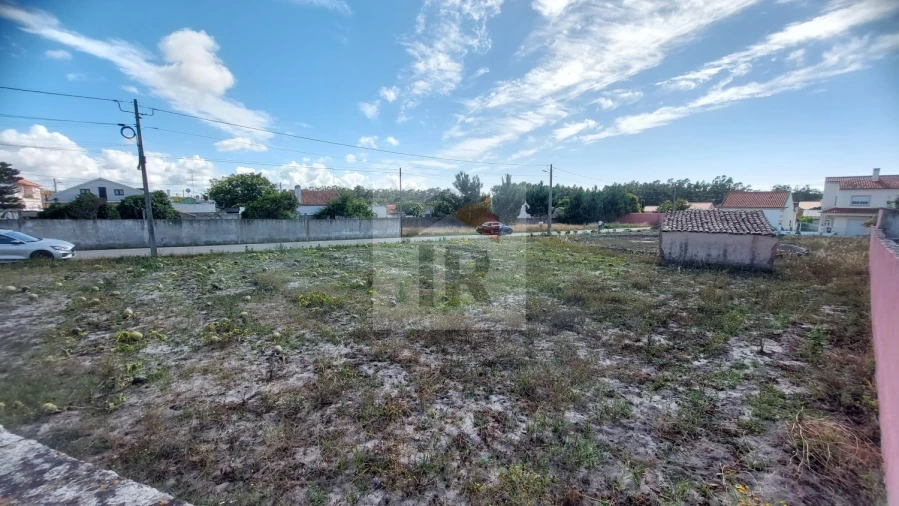 Terreno para Venda em Tornada e Salir do Porto Foto 13