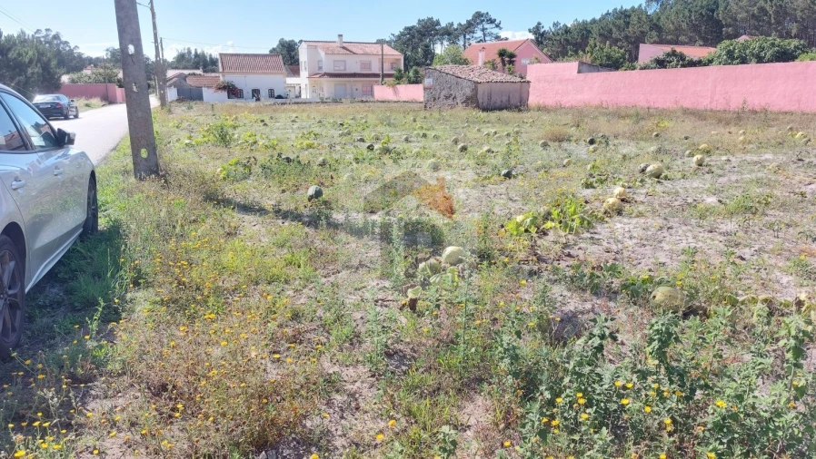 Terreno para Venda em Tornada e Salir do Porto Foto 14