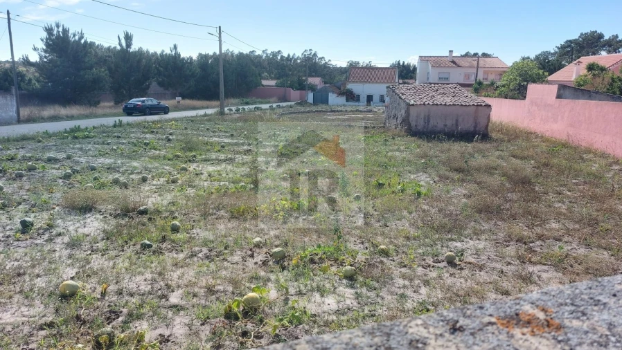 Terreno para Venda em Tornada e Salir do Porto Foto 5