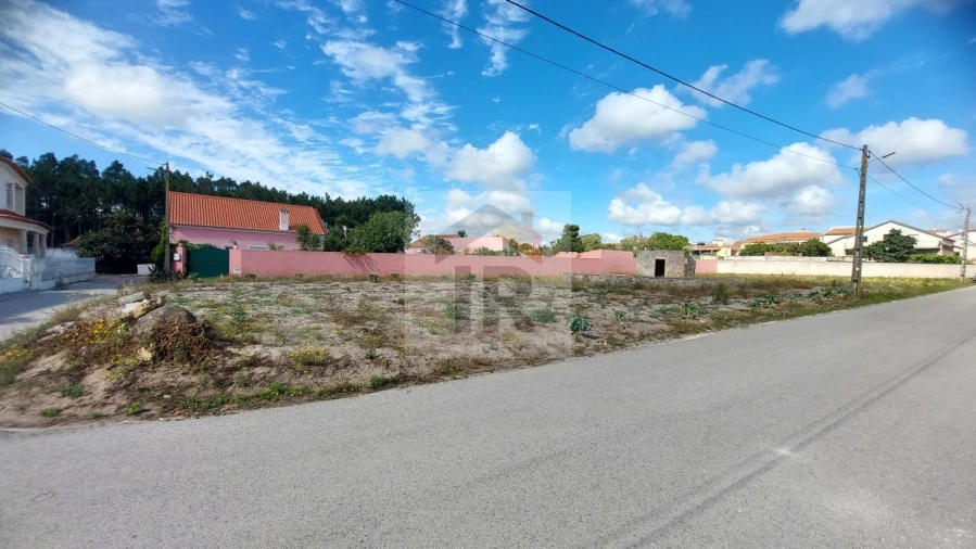 Terreno para Venda em Tornada e Salir do Porto Foto 3