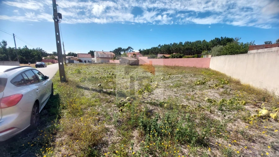 Terreno para Venda em Tornada e Salir do Porto Foto 6