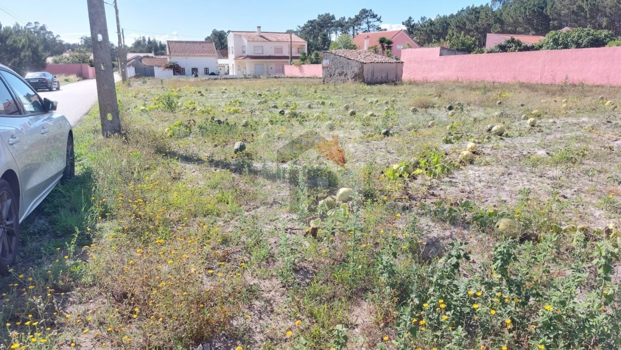 Terreno para Venda em Tornada e Salir do Porto Foto 14