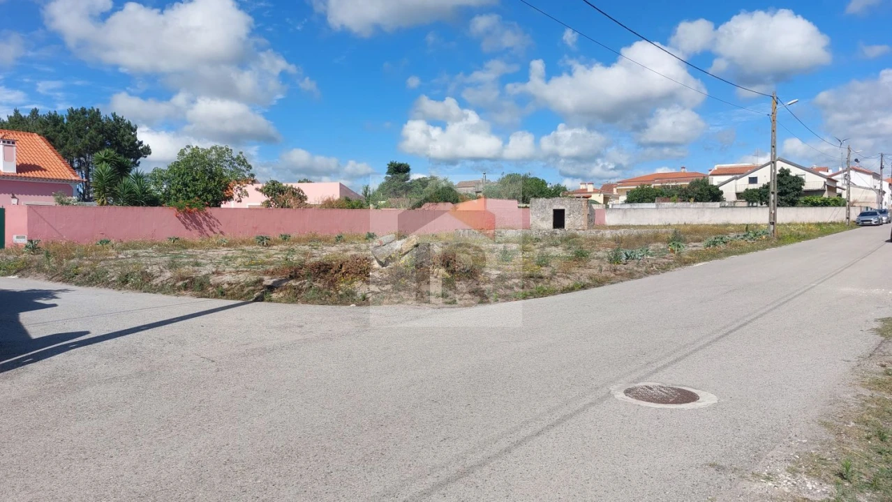 Terreno para Venda em Tornada e Salir do Porto Foto 4