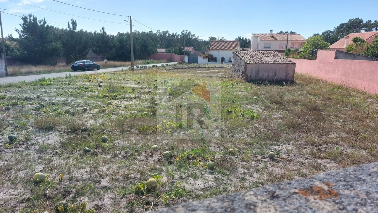 Terreno para Venda em Tornada e Salir do Porto Foto 10
