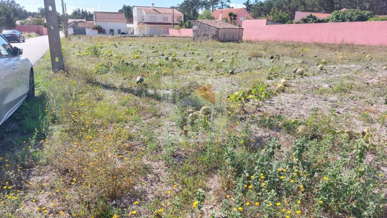 Terreno para Venda em Tornada e Salir do Porto Foto 11