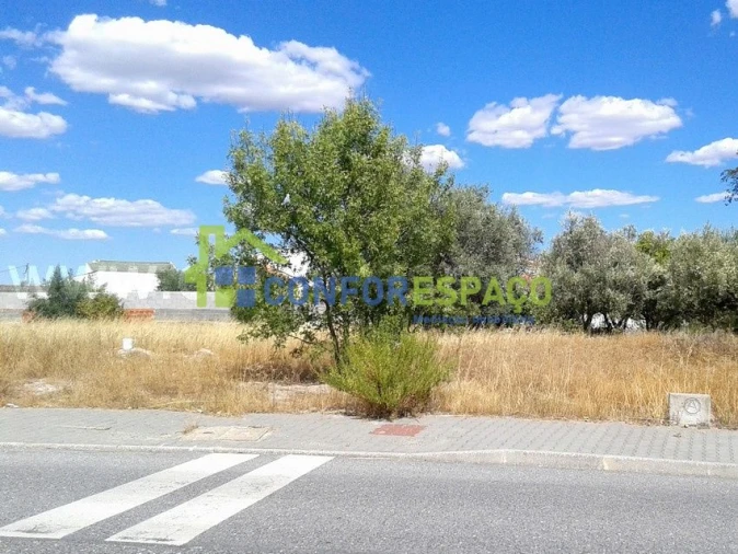 Terreno para Venda em Alcains Foto 3