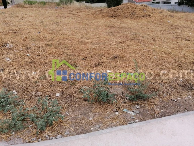 Terreno para Venda em Castelo Branco Foto 2