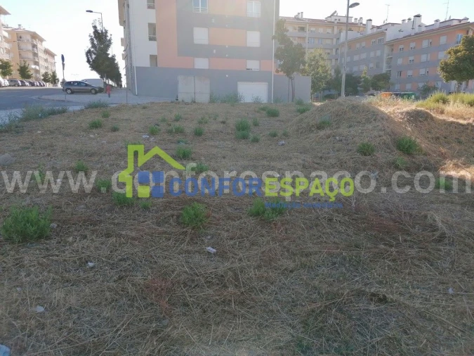 Terreno para Venda em Castelo Branco Foto 3