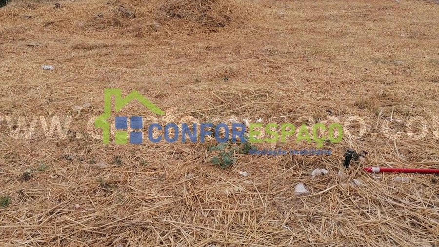 Terreno para Venda em Castelo Branco