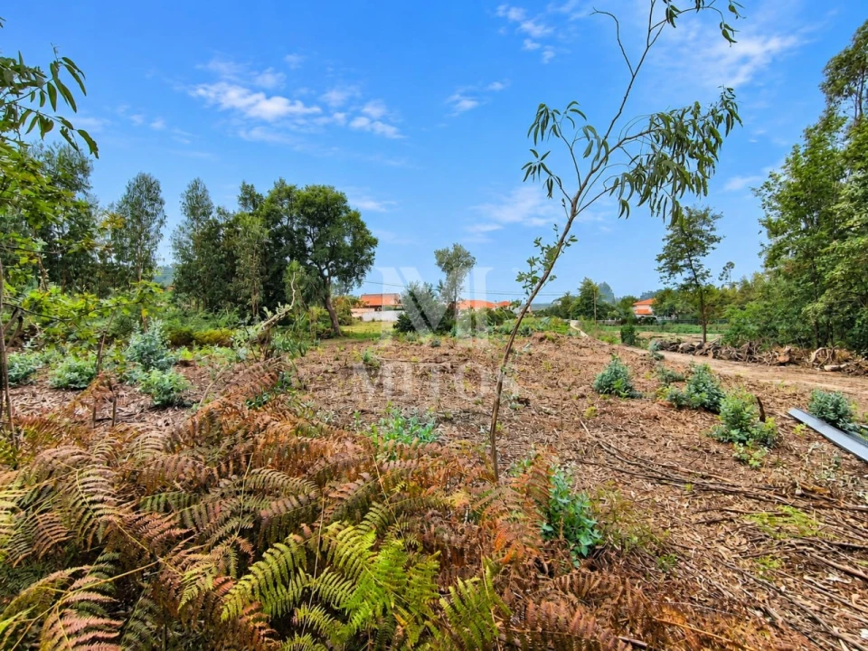 Terreno para Venda em Durrães e Tregosa Foto 2