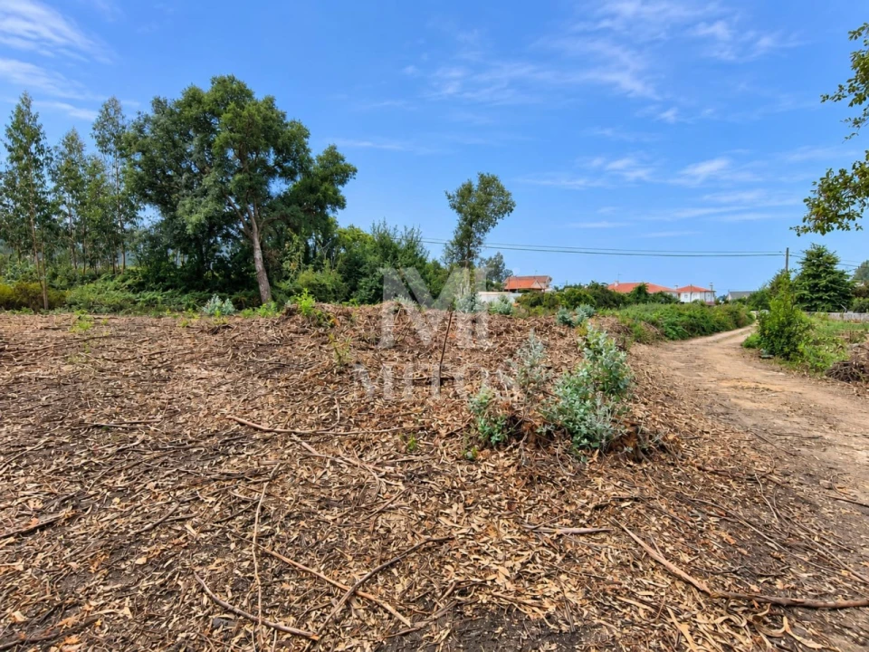 Terreno para Venda em Durrães e Tregosa Foto 1
