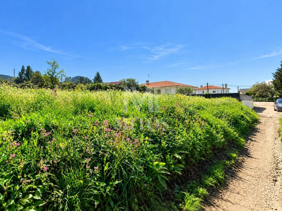 Terreno para Venda em Durrães e Tregosa Foto 6