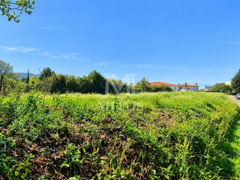Terreno para Venda em Durrães e Tregosa Foto 7