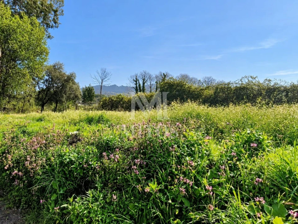 Terreno para Venda em Durrães e Tregosa Foto 8