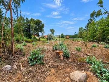 Terreno para Venda em Durrães e Tregosa