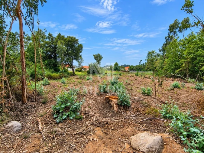 Terreno para Venda em Durrães e Tregosa Foto 3