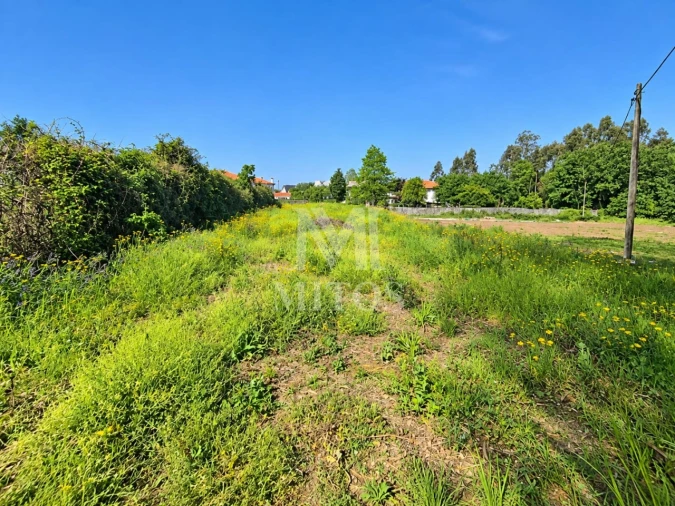 Terreno para Venda em Durrães e Tregosa Foto 5