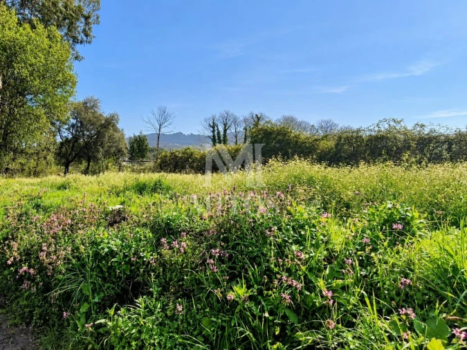 Terreno para Venda em Durrães e Tregosa Foto 8