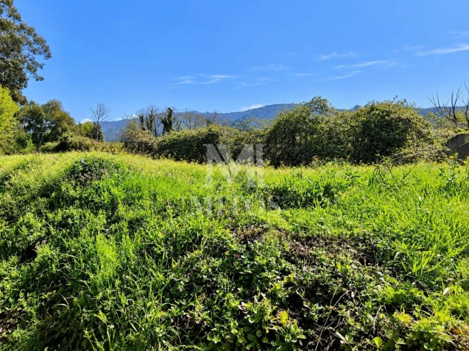 Terreno para Venda em Durrães e Tregosa Foto 9